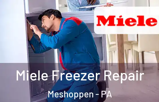  Miele Freezer Repair Meshoppen - PA
