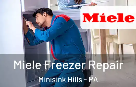  Miele Freezer Repair Minisink Hills - PA