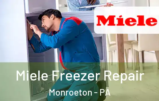  Miele Freezer Repair Monroeton - PA