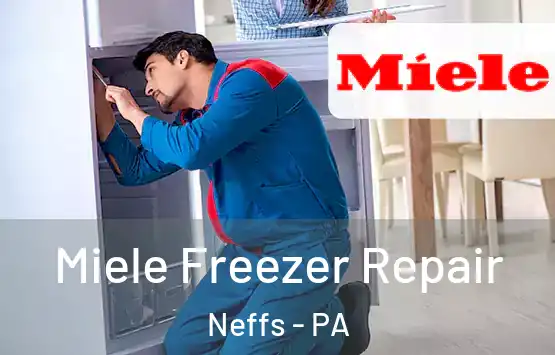  Miele Freezer Repair Neffs - PA
