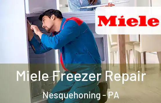  Miele Freezer Repair Nesquehoning - PA