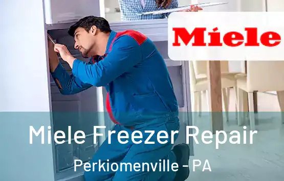  Miele Freezer Repair Perkiomenville - PA