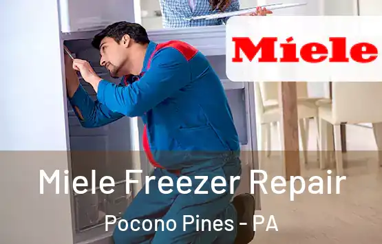  Miele Freezer Repair Pocono Pines - PA