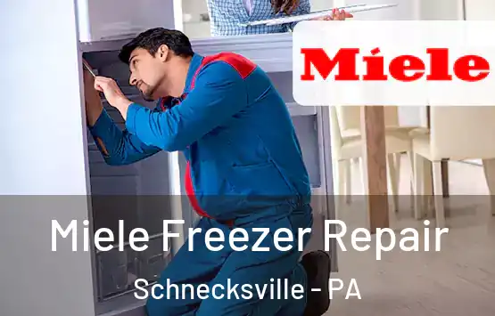  Miele Freezer Repair Schnecksville - PA