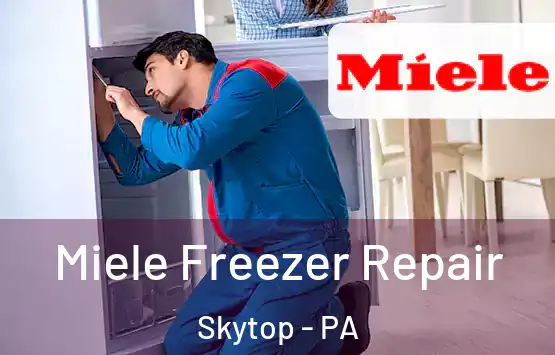  Miele Freezer Repair Skytop - PA