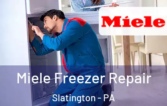  Miele Freezer Repair Slatington - PA