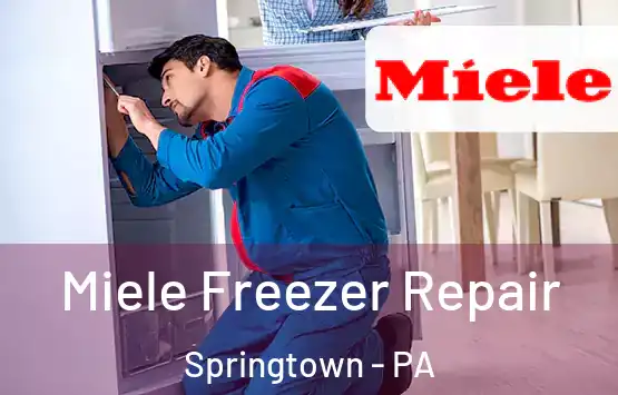  Miele Freezer Repair Springtown - PA