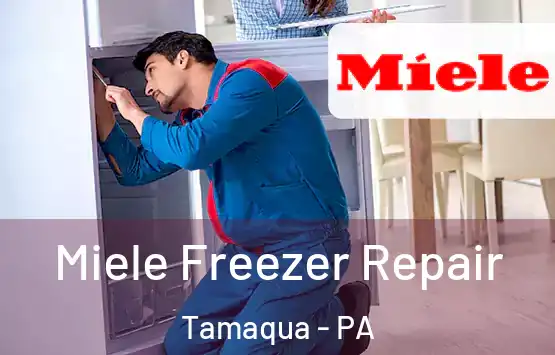  Miele Freezer Repair Tamaqua - PA