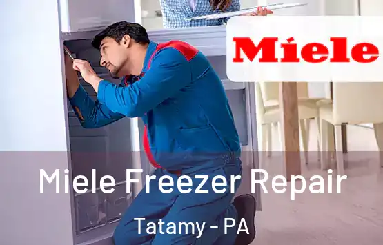  Miele Freezer Repair Tatamy - PA