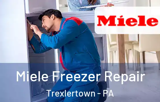  Miele Freezer Repair Trexlertown - PA