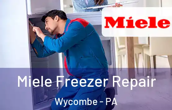  Miele Freezer Repair Wycombe - PA