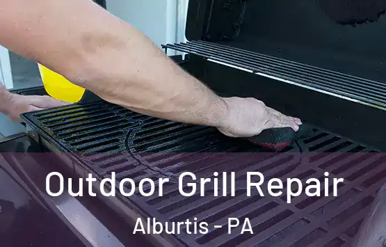  Outdoor Grill Repair Alburtis - PA