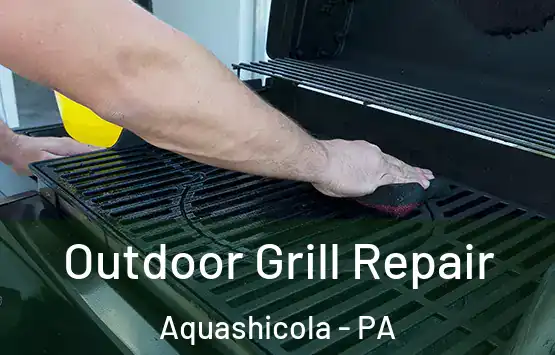  Outdoor Grill Repair Aquashicola - PA
