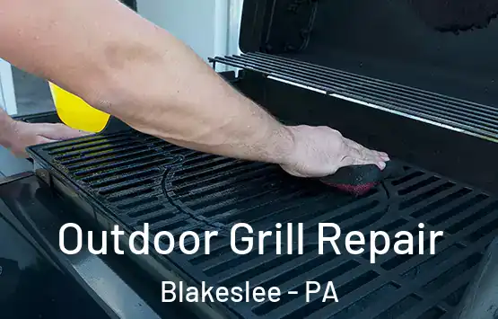  Outdoor Grill Repair Blakeslee - PA