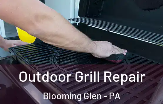  Outdoor Grill Repair Blooming Glen - PA