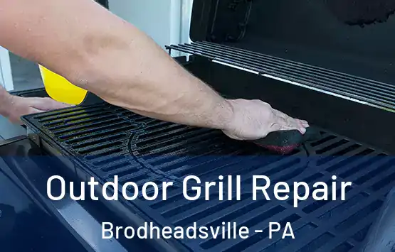  Outdoor Grill Repair Brodheadsville - PA