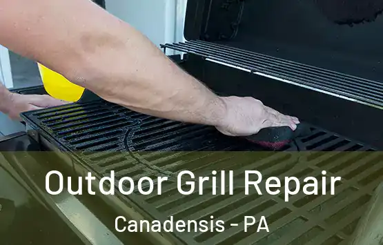  Outdoor Grill Repair Canadensis - PA