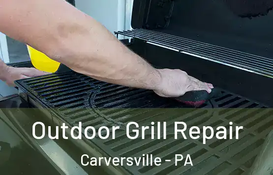 Outdoor Grill Repair Carversville - PA