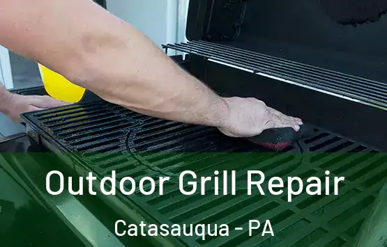  Outdoor Grill Repair Catasauqua - PA