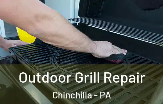 Outdoor Grill Repair Chinchilla - PA
