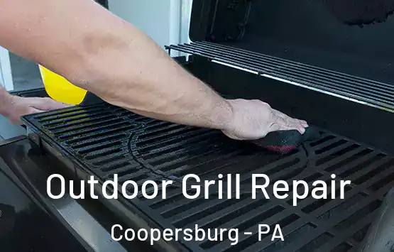  Outdoor Grill Repair Coopersburg - PA