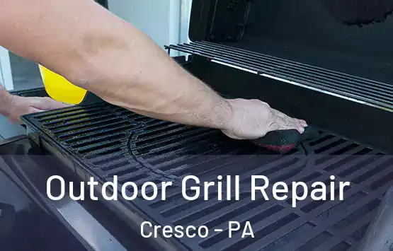  Outdoor Grill Repair Cresco - PA