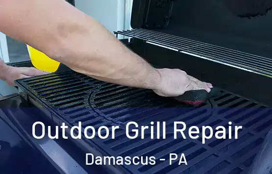  Outdoor Grill Repair Damascus - PA