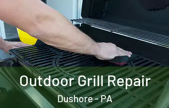  Outdoor Grill Repair Dushore - PA