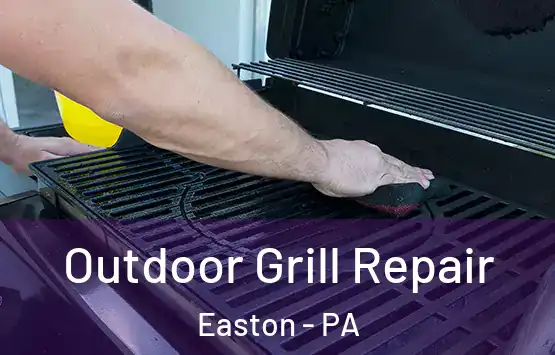  Outdoor Grill Repair Easton - PA