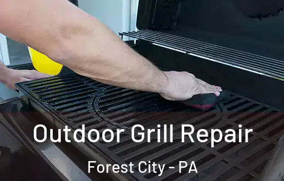  Outdoor Grill Repair Forest City - PA