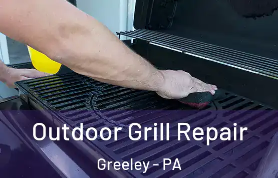 Outdoor Grill Repair Greeley - PA