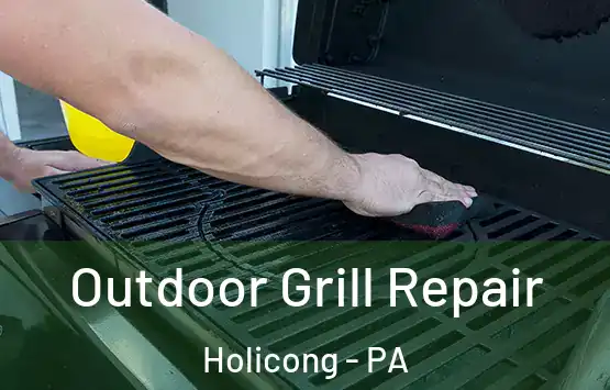  Outdoor Grill Repair Holicong - PA