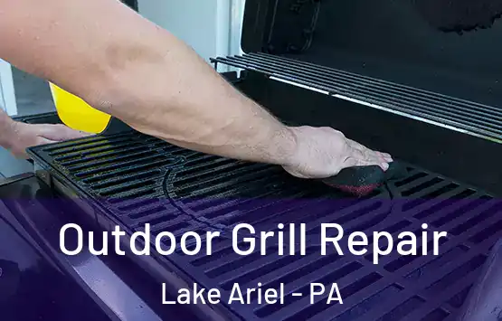  Outdoor Grill Repair Lake Ariel - PA