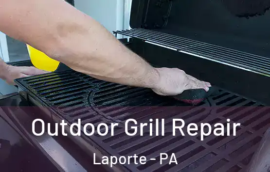  Outdoor Grill Repair Laporte - PA