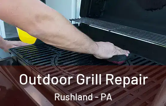  Outdoor Grill Repair Rushland - PA