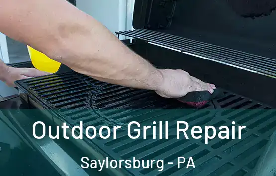  Outdoor Grill Repair Saylorsburg - PA