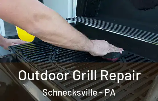 Outdoor Grill Repair Schnecksville - PA