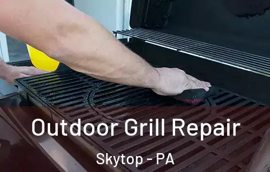  Outdoor Grill Repair Skytop - PA