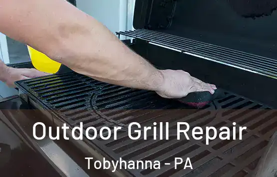  Outdoor Grill Repair Tobyhanna - PA