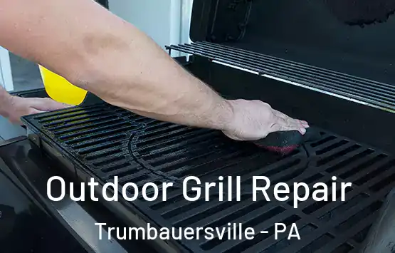  Outdoor Grill Repair Trumbauersville - PA
