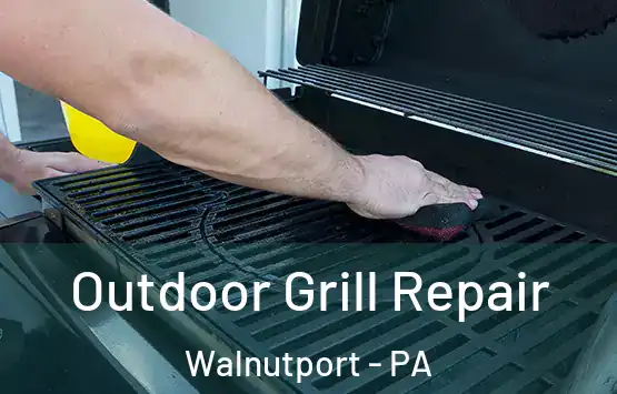  Outdoor Grill Repair Walnutport - PA