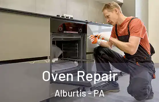  Oven Repair Alburtis - PA