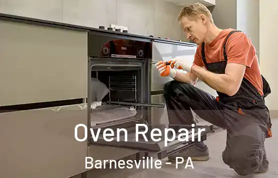 Oven Repair Barnesville - PA