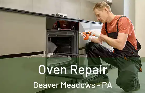  Oven Repair Beaver Meadows - PA