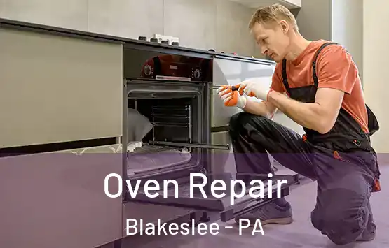  Oven Repair Blakeslee - PA