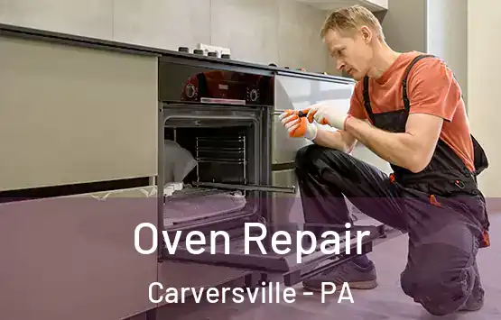  Oven Repair Carversville - PA