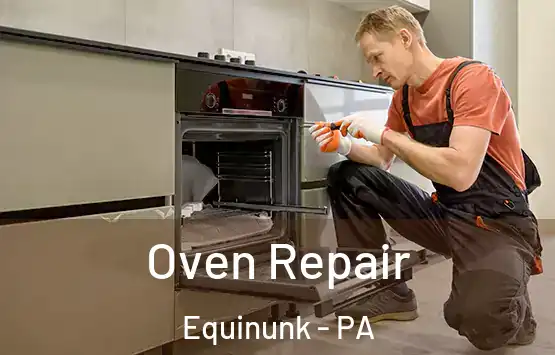  Oven Repair Equinunk - PA