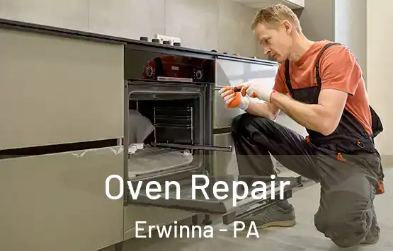  Oven Repair Erwinna - PA