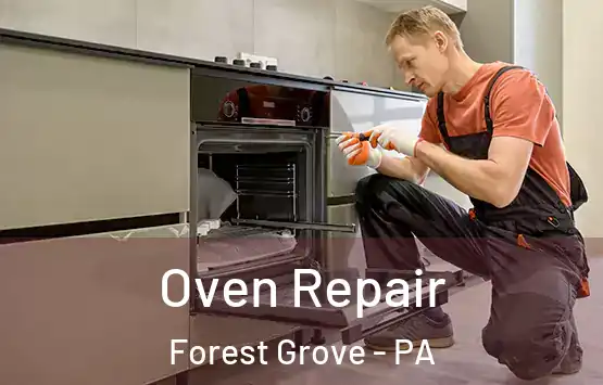 Oven Repair Forest Grove - PA
