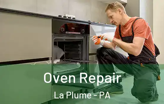  Oven Repair La Plume - PA